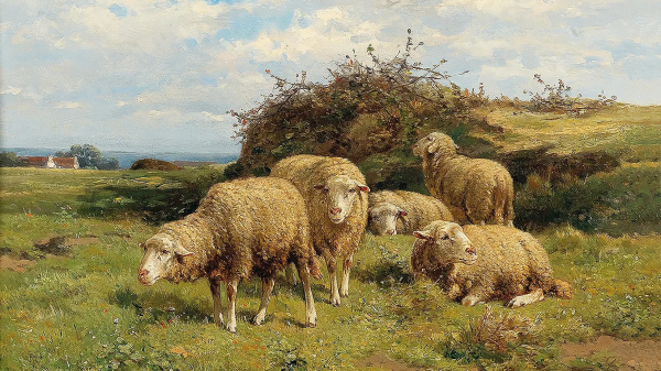 Μεταξύ 120 και 130 ευρώ το κεφάλι η έκτακτη ενίσχυση στους αιγοπροβατοτρόφους