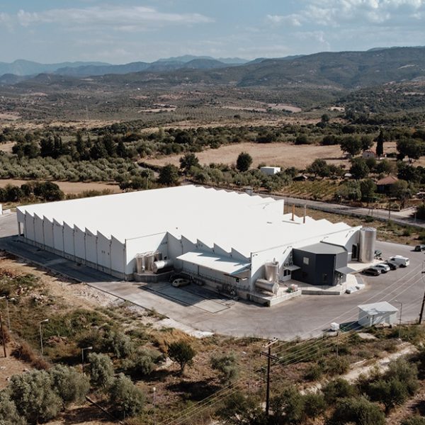 Στηρίζει την κτηνοτροφία και απογειώνει την τυροκομία η Αμφιλοχίας Γη