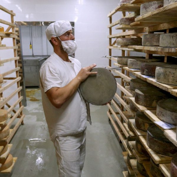 Κατακερματισμός στις αγορές γάλακτος, εστίαση σε προϊόντα αξίας όπως τα τυριά έως το 2035