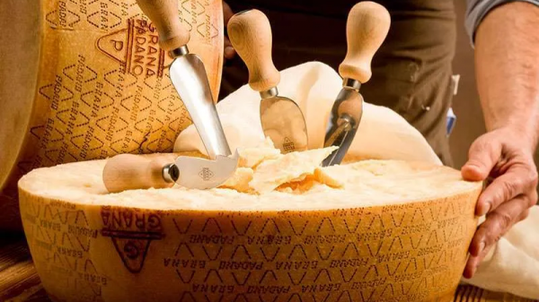 Χρηματοδότηση 500 εκατ. ευρώ για προστασία του Grana Padano ΠΟΠ στην Ιταλία