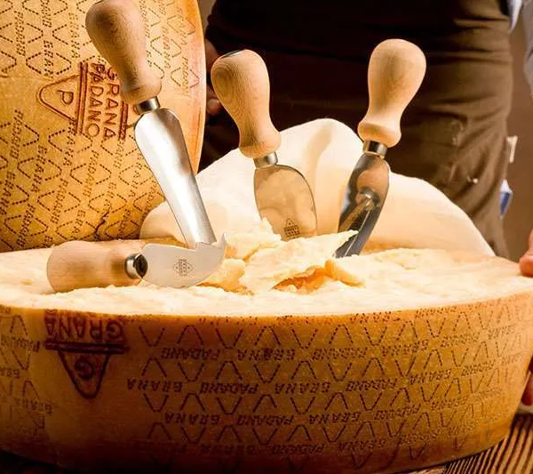 Χρηματοδότηση 500 εκατ. ευρώ για προστασία του Grana Padano ΠΟΠ στην Ιταλία