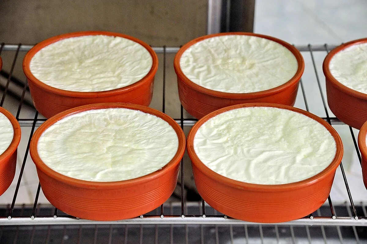 Επαναλαμβανόμενη νοθεία με χρήση αγελαδινού σε γαλακτοκομικά προϊόντα με βάση το αιγοπρόβειο