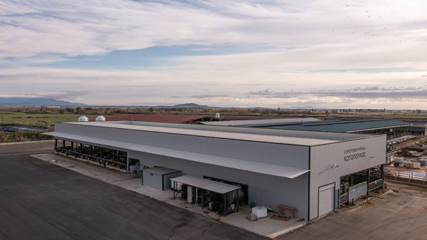 Ιδανική για μεγάλες μονάδες αγελαδοτροφίας η ρομποτική αρμεγή μέσω Batch Milking