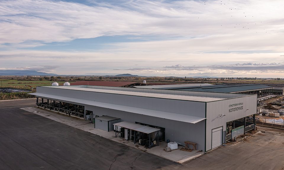 Ιδανική για μεγάλες μονάδες αγελαδοτροφίας η ρομποτική αρμεγή μέσω Batch Milking