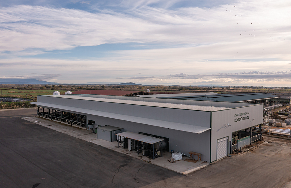 Ιδανική για μεγάλες μονάδες αγελαδοτροφίας η ρομποτική αρμεγή μέσω Batch Milking