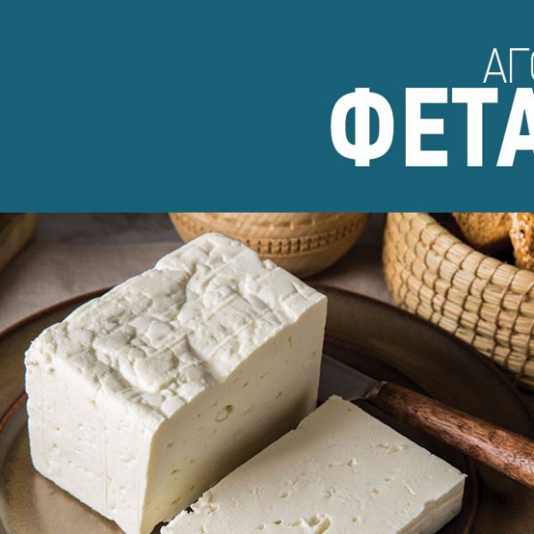 Καλπάζει η ζήτηση για Φέτα, αναγκαία τα κίνητρα προς αύξηση γαλακτοπαραγωγής