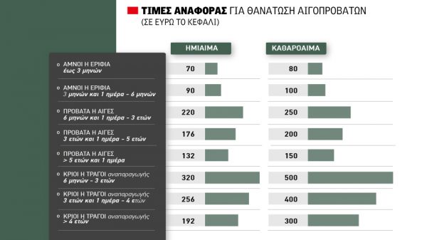 Εντός διμήνου η αποζημίωση για σφαγές αιγοπροβάτων σε οκτώ κλίμακες έως 500 ευρώ