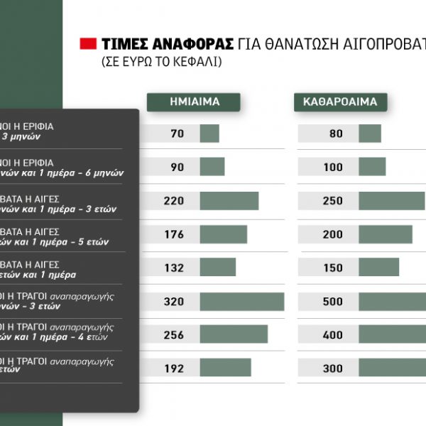 Εντός διμήνου η αποζημίωση για σφαγές αιγοπροβάτων σε οκτώ κλίμακες έως 500 ευρώ