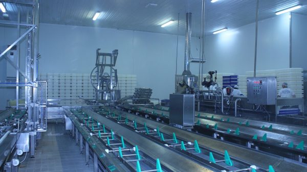 Λύσεις προσαρμοσμένες στις ανάγκες της κάθε τυροκομικής μονάδας προσφέρει η Παραλίδης Α.Ε.