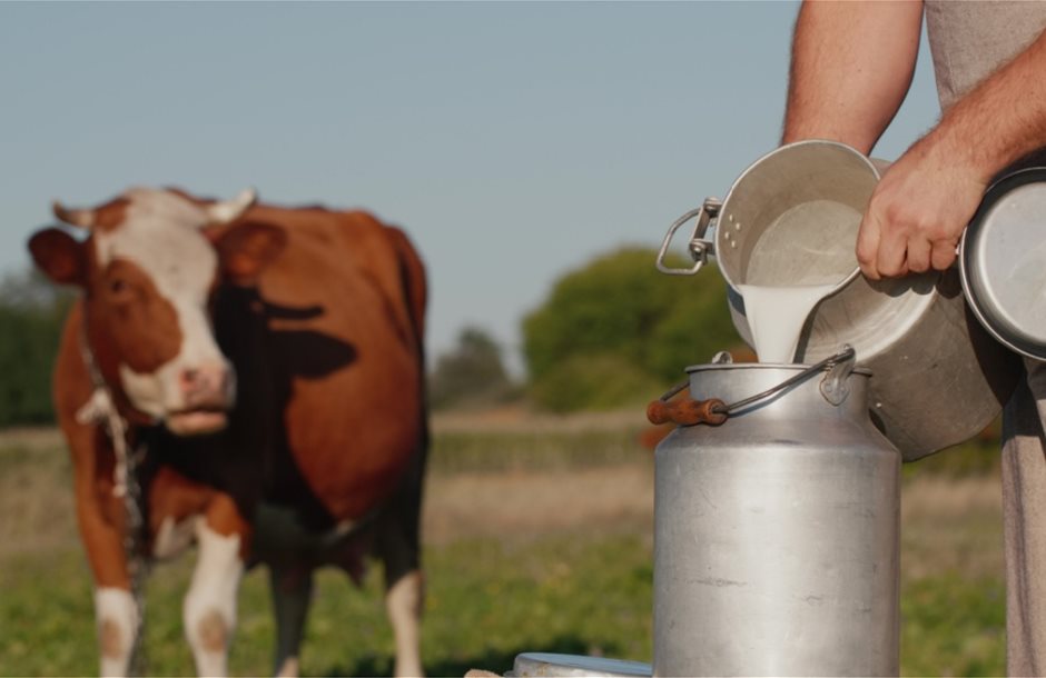 Εκούσια μείωση όγκων παραγωγής σε επίπεδο ΕΕ ζητά το Ευρωπαϊκό Συμβούλιο Γάλακτος