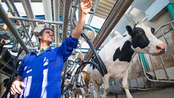 Μικρές προοπτικές για αύξηση των τιμών αγελαδινού γάλακτος