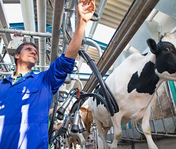 Μικρές προοπτικές για αύξηση των τιμών αγελαδινού γάλακτος