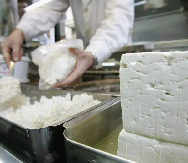 Νέα πιστοποιητικά για εκτελωνισμό ελληνικών γαλακτοκομικών και τυροκομικών στις ΗΠΑ λόγω αθφώδους