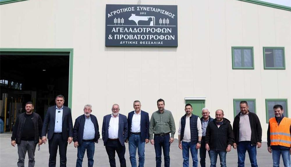 «Πρόκειται για μία ακόμη κατεύθυνση στήριξης του πρωτογενούς τομέα, ο οποίος τα τελευταία χρόνια δοκιμάζεται έντονα από ακραία καιρικά φαινόμενα και ζωονόσους», τόνισε ο κ. Κουρέτας, υπογραμμίζοντας την αναγκαιότητα του ειδικού αυτού μέτρου, που θα συμβάλλει και στην αποτελεσματικότητα των μέτρων Βιοασφάλειας. Αναλυτικότερα, στο επίκεντρο της συνάντησης με τη διοίκηση και τα μέλη του Συνεταιρισμού τέθηκαν συνολικά τα αδιέξοδα που έχει δημιουργήσει η ευλογιά, με κοινό τόπο όλων των παρεμβάσεων την ανάγκη διαμόρφωσης ενός ολοκληρωμένου «οδικού χάρτη» για την επόμενη ημέρα, καθώς ο κλάδος βρίσκεται σε οριακό σημείο. Καθοριστικό πρόβλημα που αναδείχθηκε είναι η αδυναμία ανασύστασης του ζωικού κεφαλαίου. Η καθολική απαγόρευση εισαγωγής ζώων, που ισχύει από τα τέλη Φεβρουαρίου και έχει ουσιαστικά «παγώσει» κάθε προσπάθεια επανεκκίνησης. «Έχουν χαθεί στη χώρα μας περίπου 600.000 ζώα. Αν συνυπολογίσουμε και την παραγωγή, μιλάμε για απώλειες εκατοντάδων εκατομμυρίων ευρώ», υπογράμμισε ο Περιφερειάρχης, ζητώντας από το αρμόδιο Υπουργείο την επιτάχυνση των διαδικασιών στήριξης. «Δεν επιτρέπεται η εισαγωγή ζώων και πρέπει να δούμε και να πιέσουμε το Υπουργείο πώς θα λυθεί αυτό. Υπάρχουν σκέψεις να επαναδιαπραγματευτούμε το συνολικό κλείσιμο και να επιτραπούν εισαγωγές με αυστηρές προδιαγραφές», σημείωσε, τονίζοντας παράλληλα την ανάγκη οικονομικής ενίσχυσης, ώστε οι παραγωγοί να μπορέσουν να επανεκκινήσουν τη δραστηριότητά τους. Παράλληλα, ο Περιφερειάρχης προανήγγειλε πρωτοβουλία διαλόγου με βουλευτές, αγρότες, κτηνοτρόφους και το αρμόδιο Υπουργείο για τη διαμόρφωση δέσμης μέτρων, που θα καλύπτουν τόσο την κτηνοτροφία όσο και συνολικά τον πρωτογενή τομέα κάνοντας αναφορά και στην πρωτοβουλία της Περιφέρειας ,η οποία σύντομα θα παρουσιάσει το στρατηγικό σχέδιο για το μέλλον του βαμβακιού . «Το ζητούμενο είναι να επανέλθει η κτηνοτροφία και συνολικά ο πρωτογενής τομέας. Αυτό πρέπει να διεκδικήσουμε όλοι μαζί» τόνισε ο κ.Κουρέτας. Αναφορικά με το ζήτημα του εμβολιασμού, που τέθηκε από τον πρόεδρο του συνεταιρισμού Γιώργο Βαϊόπουλο, ο κ. Κουρέτας σημείωσε ότι, σε πρόσφατες επαφές του με ευρωπαϊκούς φορείς, εξετάστηκε η δυνατότητα εφαρμογής του υπό συγκεκριμένες προϋποθέσεις, όπως η υποχρεωτική παστερίωση του γάλακτος. Την αγωνία για το μέλλον του κλάδου, εξέφρασε και ο Διευθύνων Σύμβουλος του συνεταιρισμού, Αλέξανδρος Μανούρας, ο οποίος τόνισε: «Έχουμε 20 πληττόμενους παραγωγούς από την ευλογιά. Δεν υπάρχει χειρότερο. Το κρίσιμο ζήτημα είναι τι θα γίνει με αυτούς τους ανθρώπους». Η συνάντηση ολοκληρώθηκε με κοινή συμφωνία για κλιμάκωση των πιέσεων προς την Πολιτεία, με στόχο την άμεση λήψη ουσιαστικών μέτρων και την αποτροπή της οριστικής εγκατάλειψης της κτηνοτροφικής δραστηριότητας στην περιοχή.