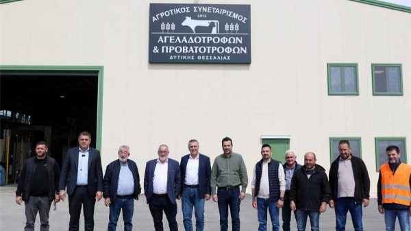 «Πρόκειται για μία ακόμη κατεύθυνση στήριξης του πρωτογενούς τομέα, ο οποίος τα τελευταία χρόνια δοκιμάζεται έντονα από ακραία καιρικά φαινόμενα και ζωονόσους», τόνισε ο κ. Κουρέτας, υπογραμμίζοντας την αναγκαιότητα του ειδικού αυτού μέτρου, που θα συμβάλλει και στην αποτελεσματικότητα των μέτρων Βιοασφάλειας. Αναλυτικότερα, στο επίκεντρο της συνάντησης με τη διοίκηση και τα μέλη του Συνεταιρισμού τέθηκαν συνολικά τα αδιέξοδα που έχει δημιουργήσει η ευλογιά, με κοινό τόπο όλων των παρεμβάσεων την ανάγκη διαμόρφωσης ενός ολοκληρωμένου «οδικού χάρτη» για την επόμενη ημέρα, καθώς ο κλάδος βρίσκεται σε οριακό σημείο. Καθοριστικό πρόβλημα που αναδείχθηκε είναι η αδυναμία ανασύστασης του ζωικού κεφαλαίου. Η καθολική απαγόρευση εισαγωγής ζώων, που ισχύει από τα τέλη Φεβρουαρίου και έχει ουσιαστικά «παγώσει» κάθε προσπάθεια επανεκκίνησης. «Έχουν χαθεί στη χώρα μας περίπου 600.000 ζώα. Αν συνυπολογίσουμε και την παραγωγή, μιλάμε για απώλειες εκατοντάδων εκατομμυρίων ευρώ», υπογράμμισε ο Περιφερειάρχης, ζητώντας από το αρμόδιο Υπουργείο την επιτάχυνση των διαδικασιών στήριξης. «Δεν επιτρέπεται η εισαγωγή ζώων και πρέπει να δούμε και να πιέσουμε το Υπουργείο πώς θα λυθεί αυτό. Υπάρχουν σκέψεις να επαναδιαπραγματευτούμε το συνολικό κλείσιμο και να επιτραπούν εισαγωγές με αυστηρές προδιαγραφές», σημείωσε, τονίζοντας παράλληλα την ανάγκη οικονομικής ενίσχυσης, ώστε οι παραγωγοί να μπορέσουν να επανεκκινήσουν τη δραστηριότητά τους. Παράλληλα, ο Περιφερειάρχης προανήγγειλε πρωτοβουλία διαλόγου με βουλευτές, αγρότες, κτηνοτρόφους και το αρμόδιο Υπουργείο για τη διαμόρφωση δέσμης μέτρων, που θα καλύπτουν τόσο την κτηνοτροφία όσο και συνολικά τον πρωτογενή τομέα κάνοντας αναφορά και στην πρωτοβουλία της Περιφέρειας ,η οποία σύντομα θα παρουσιάσει το στρατηγικό σχέδιο για το μέλλον του βαμβακιού . «Το ζητούμενο είναι να επανέλθει η κτηνοτροφία και συνολικά ο πρωτογενής τομέας. Αυτό πρέπει να διεκδικήσουμε όλοι μαζί» τόνισε ο κ.Κουρέτας. Αναφορικά με το ζήτημα του εμβολιασμού, που τέθηκε από τον πρόεδρο του συνεταιρισμού Γιώργο Βαϊόπουλο, ο κ. Κουρέτας σημείωσε ότι, σε πρόσφατες επαφές του με ευρωπαϊκούς φορείς, εξετάστηκε η δυνατότητα εφαρμογής του υπό συγκεκριμένες προϋποθέσεις, όπως η υποχρεωτική παστερίωση του γάλακτος. Την αγωνία για το μέλλον του κλάδου, εξέφρασε και ο Διευθύνων Σύμβουλος του συνεταιρισμού, Αλέξανδρος Μανούρας, ο οποίος τόνισε: «Έχουμε 20 πληττόμενους παραγωγούς από την ευλογιά. Δεν υπάρχει χειρότερο. Το κρίσιμο ζήτημα είναι τι θα γίνει με αυτούς τους ανθρώπους». Η συνάντηση ολοκληρώθηκε με κοινή συμφωνία για κλιμάκωση των πιέσεων προς την Πολιτεία, με στόχο την άμεση λήψη ουσιαστικών μέτρων και την αποτροπή της οριστικής εγκατάλειψης της κτηνοτροφικής δραστηριότητας στην περιοχή.