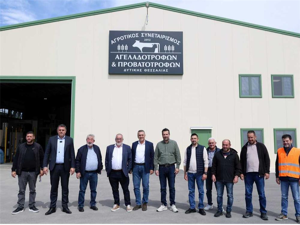 «Πρόκειται για μία ακόμη κατεύθυνση στήριξης του πρωτογενούς τομέα, ο οποίος τα τελευταία χρόνια δοκιμάζεται έντονα από ακραία καιρικά φαινόμενα και ζωονόσους», τόνισε ο κ. Κουρέτας, υπογραμμίζοντας την αναγκαιότητα του ειδικού αυτού μέτρου, που θα συμβάλλει και στην αποτελεσματικότητα των μέτρων Βιοασφάλειας. Αναλυτικότερα, στο επίκεντρο της συνάντησης με τη διοίκηση και τα μέλη του Συνεταιρισμού τέθηκαν συνολικά τα αδιέξοδα που έχει δημιουργήσει η ευλογιά, με κοινό τόπο όλων των παρεμβάσεων την ανάγκη διαμόρφωσης ενός ολοκληρωμένου «οδικού χάρτη» για την επόμενη ημέρα, καθώς ο κλάδος βρίσκεται σε οριακό σημείο. Καθοριστικό πρόβλημα που αναδείχθηκε είναι η αδυναμία ανασύστασης του ζωικού κεφαλαίου. Η καθολική απαγόρευση εισαγωγής ζώων, που ισχύει από τα τέλη Φεβρουαρίου και έχει ουσιαστικά «παγώσει» κάθε προσπάθεια επανεκκίνησης. «Έχουν χαθεί στη χώρα μας περίπου 600.000 ζώα. Αν συνυπολογίσουμε και την παραγωγή, μιλάμε για απώλειες εκατοντάδων εκατομμυρίων ευρώ», υπογράμμισε ο Περιφερειάρχης, ζητώντας από το αρμόδιο Υπουργείο την επιτάχυνση των διαδικασιών στήριξης. «Δεν επιτρέπεται η εισαγωγή ζώων και πρέπει να δούμε και να πιέσουμε το Υπουργείο πώς θα λυθεί αυτό. Υπάρχουν σκέψεις να επαναδιαπραγματευτούμε το συνολικό κλείσιμο και να επιτραπούν εισαγωγές με αυστηρές προδιαγραφές», σημείωσε, τονίζοντας παράλληλα την ανάγκη οικονομικής ενίσχυσης, ώστε οι παραγωγοί να μπορέσουν να επανεκκινήσουν τη δραστηριότητά τους. Παράλληλα, ο Περιφερειάρχης προανήγγειλε πρωτοβουλία διαλόγου με βουλευτές, αγρότες, κτηνοτρόφους και το αρμόδιο Υπουργείο για τη διαμόρφωση δέσμης μέτρων, που θα καλύπτουν τόσο την κτηνοτροφία όσο και συνολικά τον πρωτογενή τομέα κάνοντας αναφορά και στην πρωτοβουλία της Περιφέρειας ,η οποία σύντομα θα παρουσιάσει το στρατηγικό σχέδιο για το μέλλον του βαμβακιού . «Το ζητούμενο είναι να επανέλθει η κτηνοτροφία και συνολικά ο πρωτογενής τομέας. Αυτό πρέπει να διεκδικήσουμε όλοι μαζί» τόνισε ο κ.Κουρέτας. Αναφορικά με το ζήτημα του εμβολιασμού, που τέθηκε από τον πρόεδρο του συνεταιρισμού Γιώργο Βαϊόπουλο, ο κ. Κουρέτας σημείωσε ότι, σε πρόσφατες επαφές του με ευρωπαϊκούς φορείς, εξετάστηκε η δυνατότητα εφαρμογής του υπό συγκεκριμένες προϋποθέσεις, όπως η υποχρεωτική παστερίωση του γάλακτος. Την αγωνία για το μέλλον του κλάδου, εξέφρασε και ο Διευθύνων Σύμβουλος του συνεταιρισμού, Αλέξανδρος Μανούρας, ο οποίος τόνισε: «Έχουμε 20 πληττόμενους παραγωγούς από την ευλογιά. Δεν υπάρχει χειρότερο. Το κρίσιμο ζήτημα είναι τι θα γίνει με αυτούς τους ανθρώπους». Η συνάντηση ολοκληρώθηκε με κοινή συμφωνία για κλιμάκωση των πιέσεων προς την Πολιτεία, με στόχο την άμεση λήψη ουσιαστικών μέτρων και την αποτροπή της οριστικής εγκατάλειψης της κτηνοτροφικής δραστηριότητας στην περιοχή.