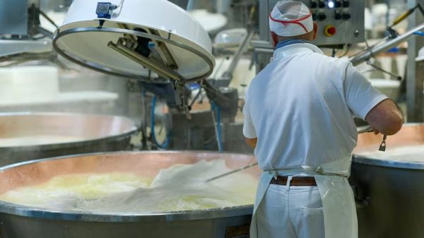 Η παγκόσμια αγορά γαλακτοκομικών πάει για τα 1,5 τρισ. δολάρια έως το 2034