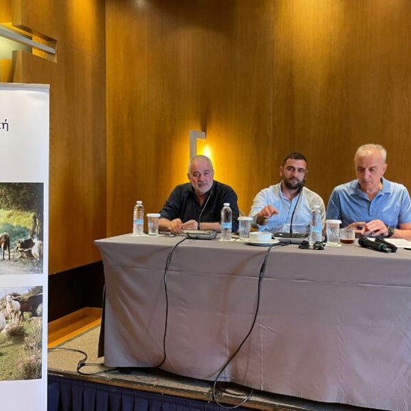 Ομάδα περιφρούρησης για προστασία της φέτας μέσω ΕΔΟΦ «χτίζει» ο Σαράντης